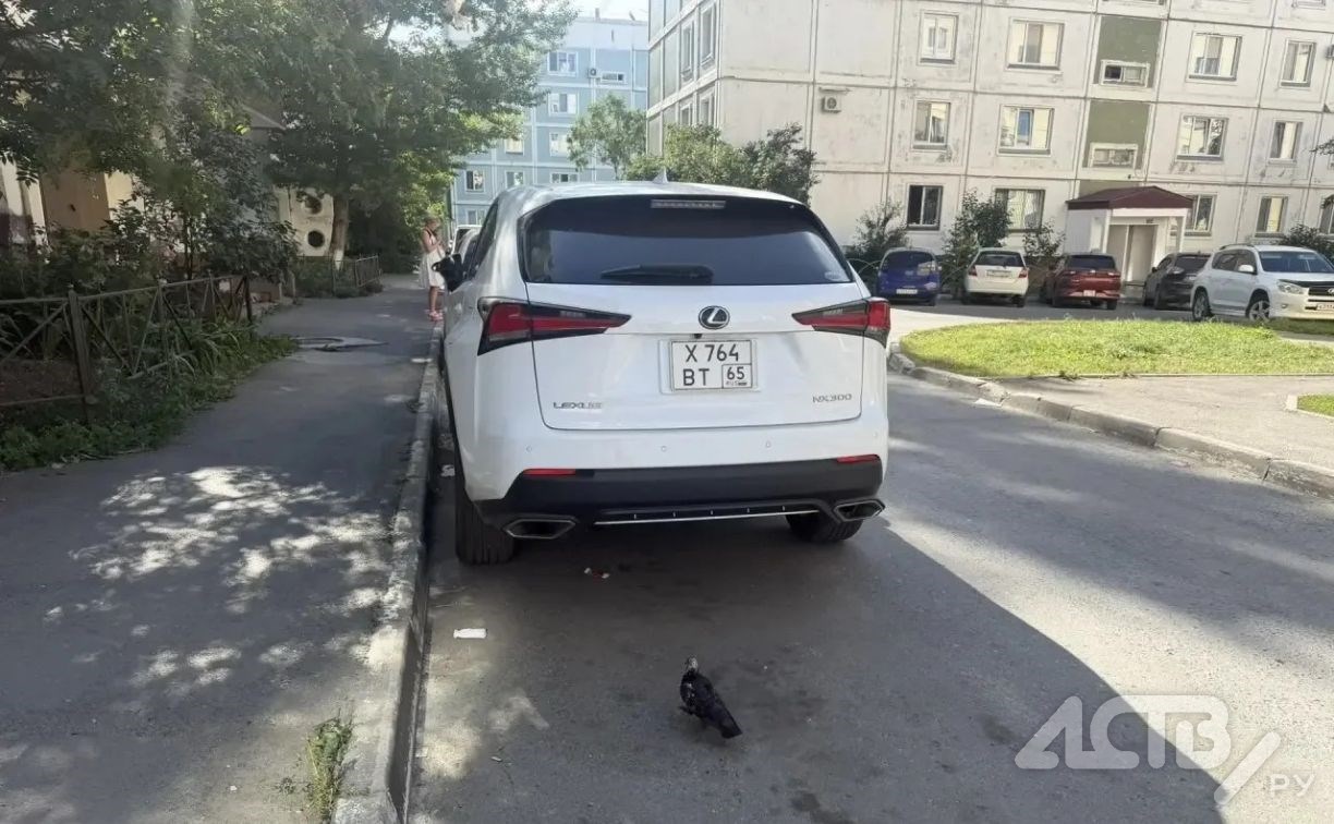 В Южно-Сахалинске стоящий во дворе "Лексус" повредили неизвестные