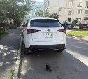 В Южно-Сахалинске стоящий во дворе "Лексус" повредили неизвестные