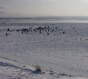 В Томаринском районе рыбаки рискуют отправиться на льдине в свободное плавание