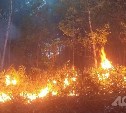 Новую технику на 34,5 миллиона рублей закупят для лесопожарных служб Сахалина