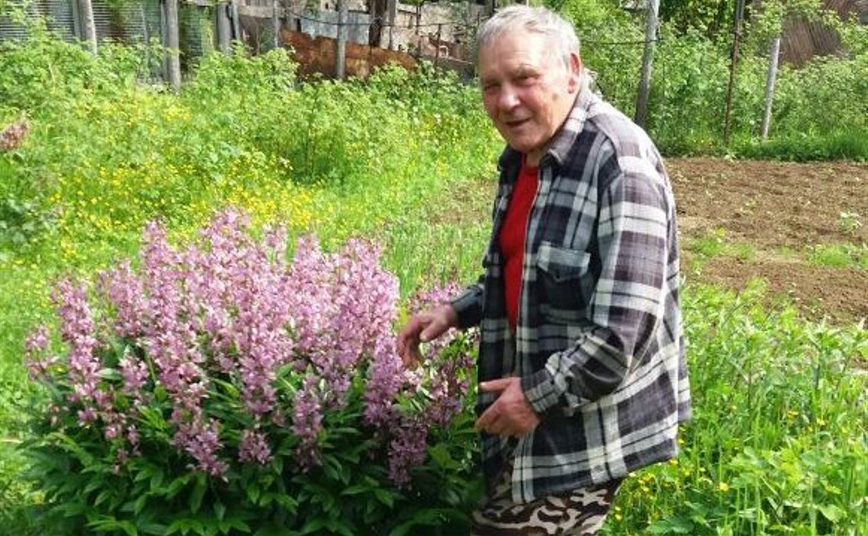 В Поронайском районе пропал 77-летний мужчина