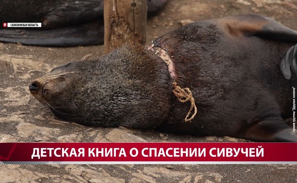 На Сахалине написали и издали детскую книгу про очень взрослую проблему