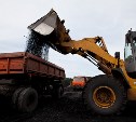 Сахалинцы могут получить компенсацию из областного бюджета на приобретение угля