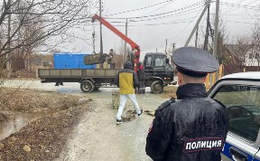 Общество