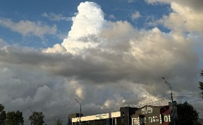Общество