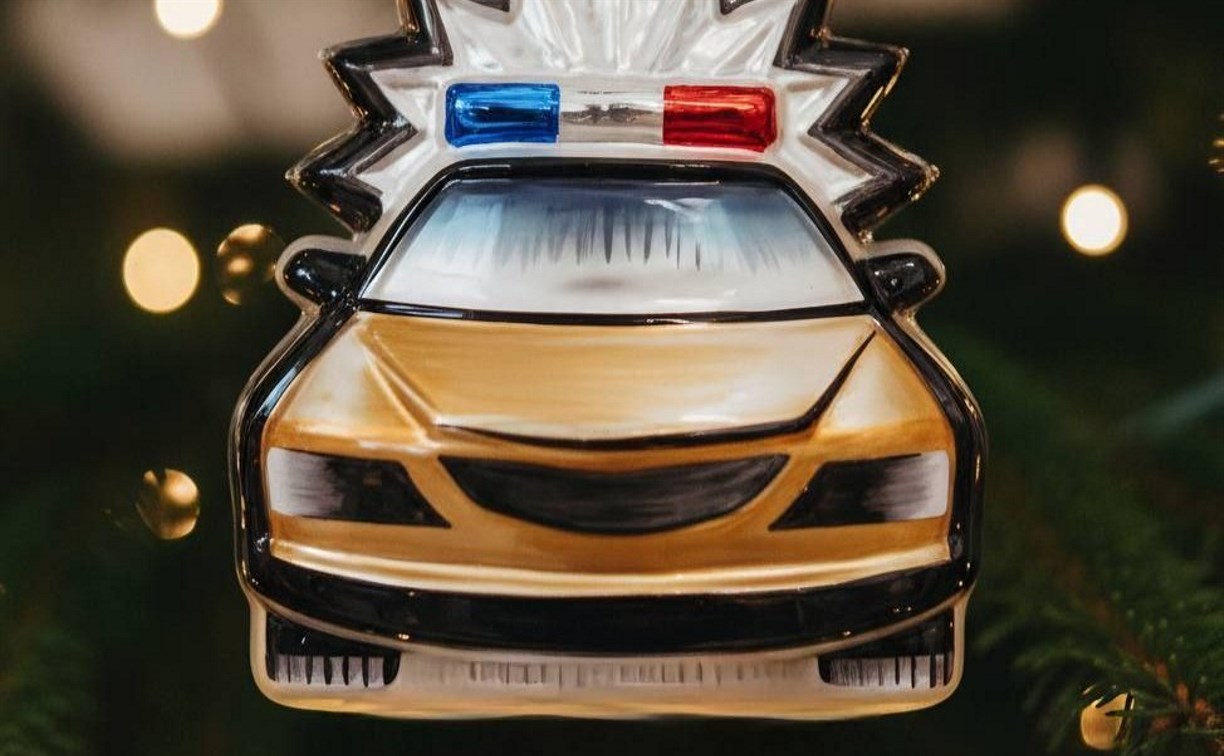 10 бесправников попались на глаза инспекторам ГАИ на Сахалине за сутки 