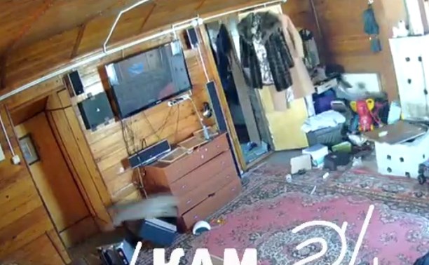 Вещи падали, кот метался по этажу: камера в частном доме на Камчатке запечатлела мощное землетрясение