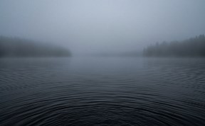 Происшествия