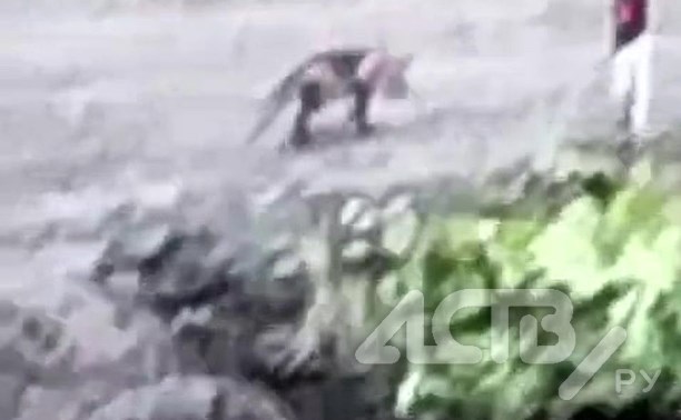 Посмотреть на обвалившуюся в Углегорском районе дорогу пришли люди и лиса - видео