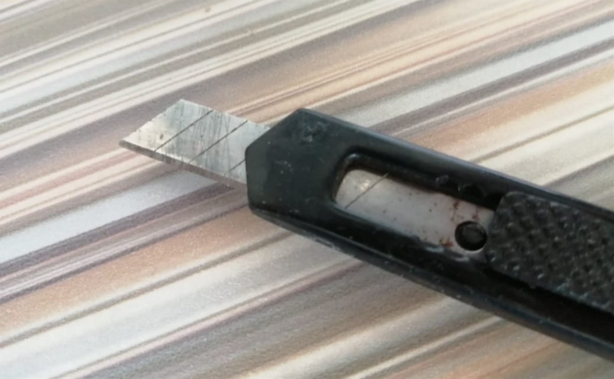 Школьник в Южно-Сахалинске во время ссоры случайно порезал одноклассника канцелярским ножом