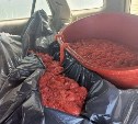 75 тонн красной рыбы, 7500 трепангов и 70 автомобилей изъяла у браконьеров полиция Сахалина