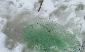 Происшествия