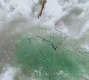 Браконьерскую сеть достали из-подо льда сахалинской реки Сусуя