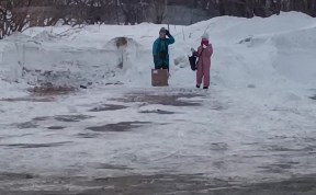 Общество