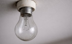 Общество
