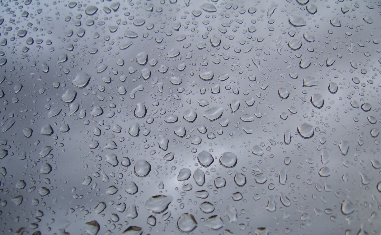 Снег и дождь: прогноз погоды для всех районов Сахалинской области на 3 ноября