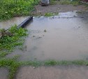 Дорогу размыло на Сахалине во время мощного циклона: движение закрыли для всех видов авто