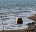 Сахалинцы заметили автомобиль, который едва не ушёл в море