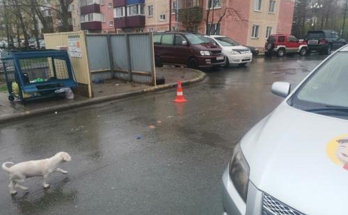 Шестилетнего ребёнка сбили во дворе в Южно-Сахалинске
