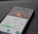 Покупка персонажей и оружия в интернет-игре обернулась для сахалинца уголовным делом