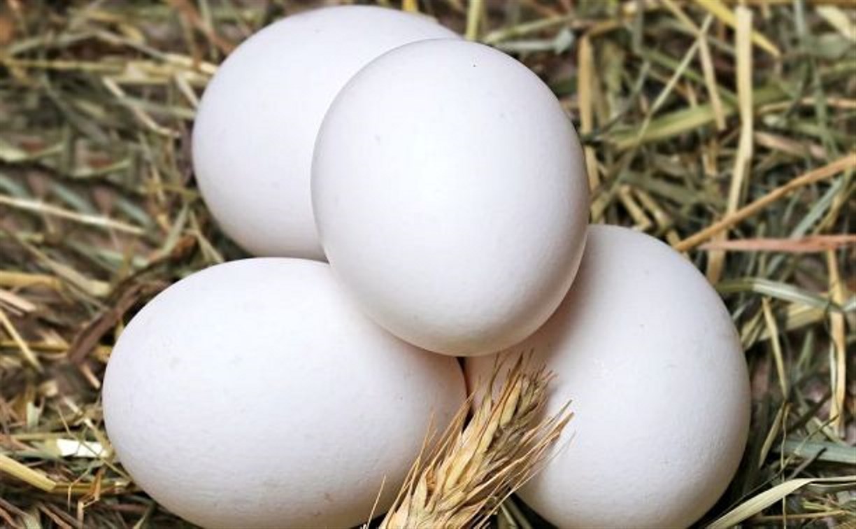 Местные яйца для южносахалинцев стали дороже на рубль