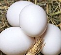 Местные яйца для южносахалинцев стали дороже на рубль