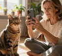 Нетрезвая сахалинка сделала на телефон несколько фото своей кошки и пойдёт под суд