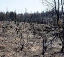 На севере Сахалина сохраняется высокая пожарная опасность
