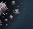 На Сахалине зарегистрирован 12-й случай смерти от коронавируса