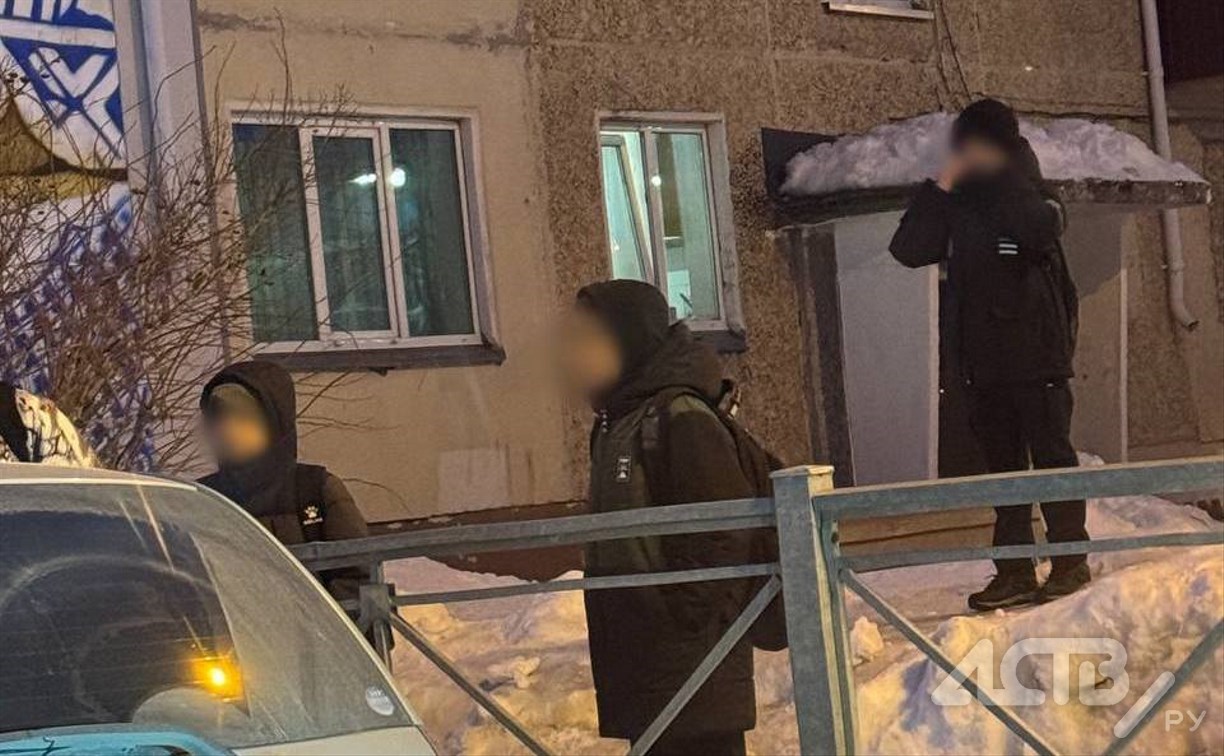 "Чьи дети?": школьники в Южно-Сахалинске развлекались, обстреливая проезжавшие машины снежками 