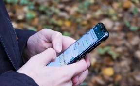 Общество