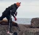 В Невельске вторую неделю убирают опасную арматуру с волнореза