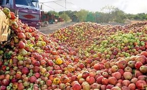 Две тонны санкционных продуктов уничтожены в Южно-Сахалинске