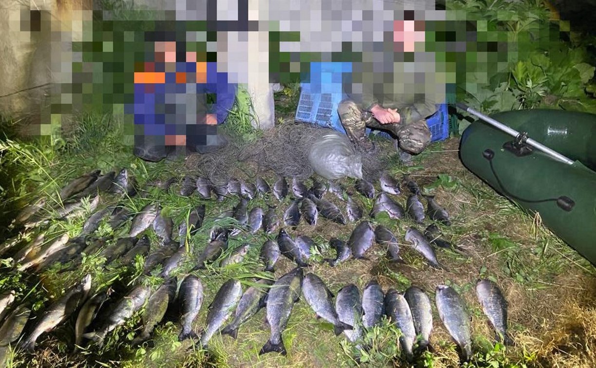 Как на Сахалине борются с браконьерами: в СКТУ рассказали о хронике последних дней 