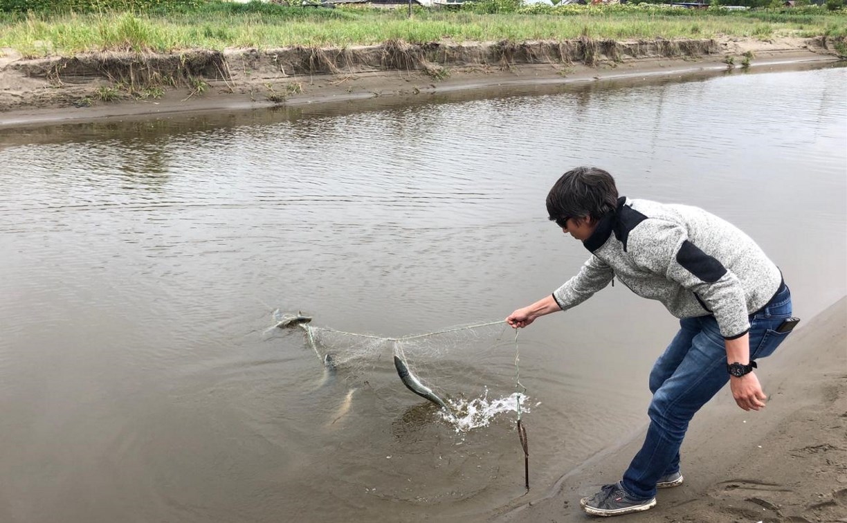 Одну из рек в Макаровском районе перекрыли браконьеры