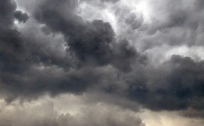 Общество