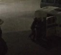 Полуголый мужчина ночью криками испугал жителей Быкова