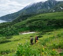 Популяция сибирского углозуба увеличивается на Парамушире 