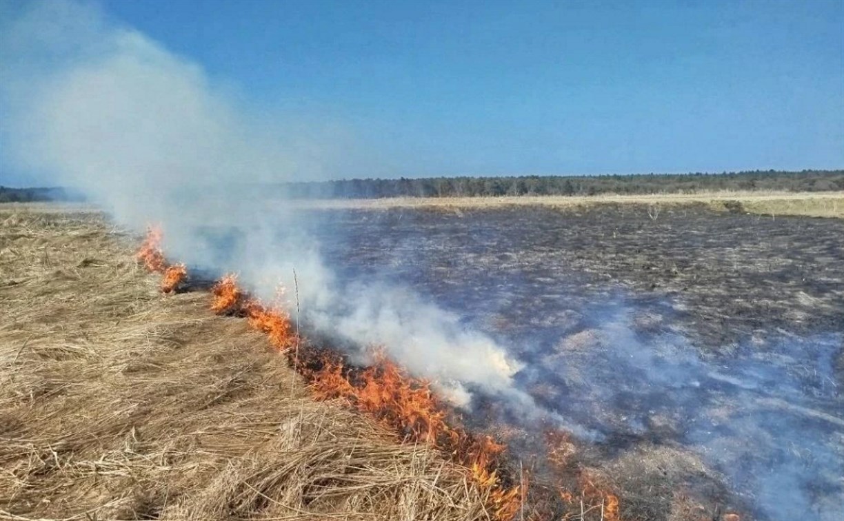 Пожарные не дали огню перекинуться на жилой дом в Анивском районе