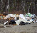  Жителям частного сектора в Южно-Сахалинске советуют заключать договоры на вывоз мусора