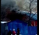 Следком начал проверку по факту обнаружения двух трупов на пожаре в Невельске