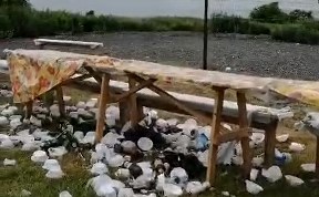 Общество
