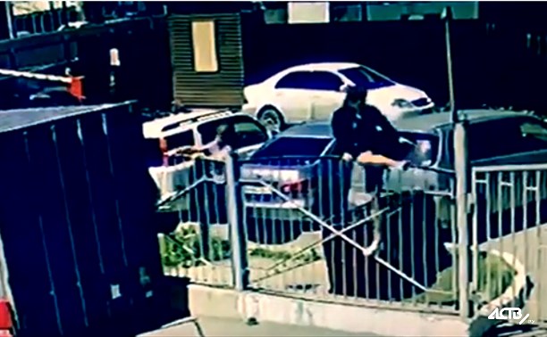 Из детского сада в Южно-Сахалинске подростки вынесли велосипед (ВИДЕО)