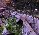 Владелица нелегальных построек около озера Изменчивое не стала убирать их руины