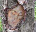 Южносахалинцы разглядели лицо женщины на дереве в парке