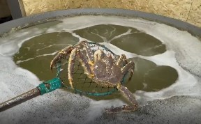 Общество