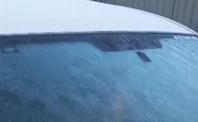 Общество