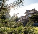 Сад Сахалинского областного краеведческого музея перешёл на летний режим работы