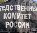 Бастрыкин взял на контроль расследование дела по факту наезда юноши на самокате на пенсионерку на Сахалине