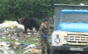 Общество
